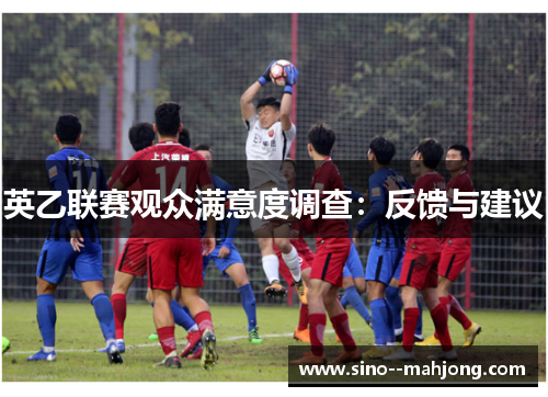 英乙联赛观众满意度调查：反馈与建议